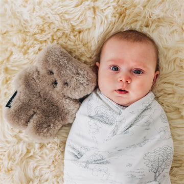 Swaddle Wrap Jersey Grey Flatout Bear Australia Adoreu Baby Shop Launceston Tasmania
