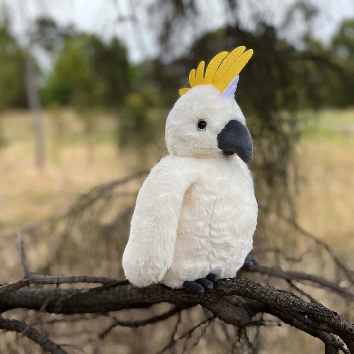 Cockatoo Soft Toy Furfolk Adoreu Baby Shop Launceston Tasmania