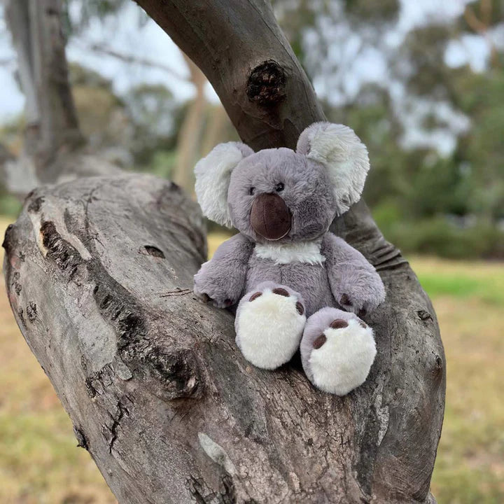 Koala Soft Toy Furfolk Adoreu Baby shop Launceston Tasmania